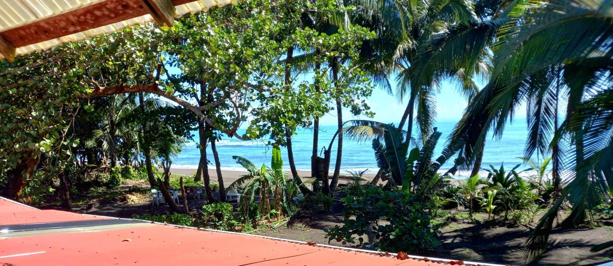 Tortuguero Adventures Beach House מראה חיצוני תמונה