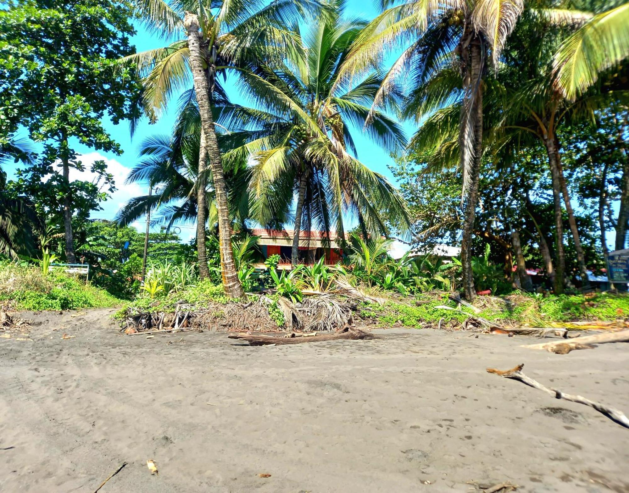 Tortuguero Adventures Beach House מראה חיצוני תמונה