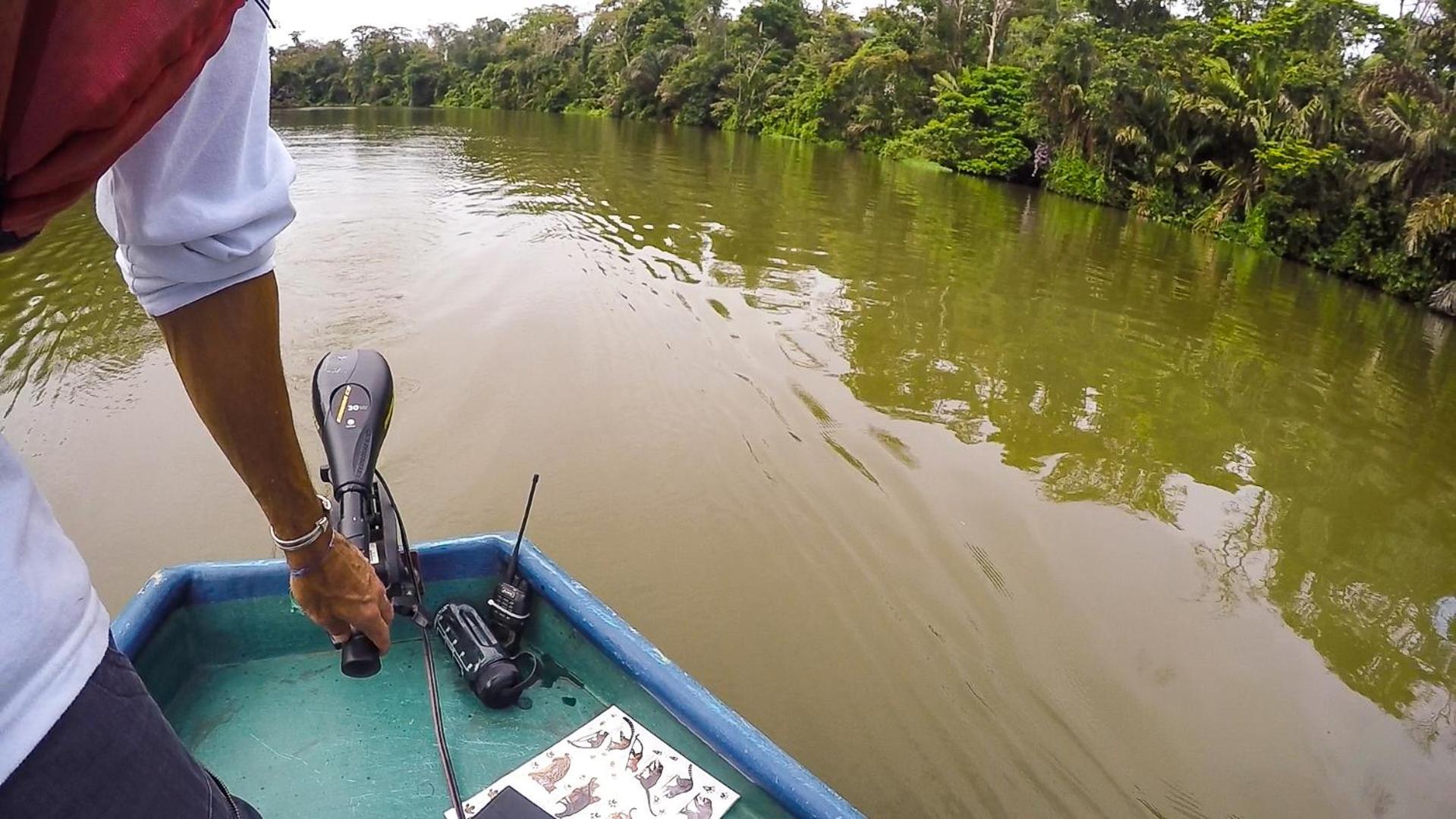 Tortuguero Adventures Beach House מראה חיצוני תמונה