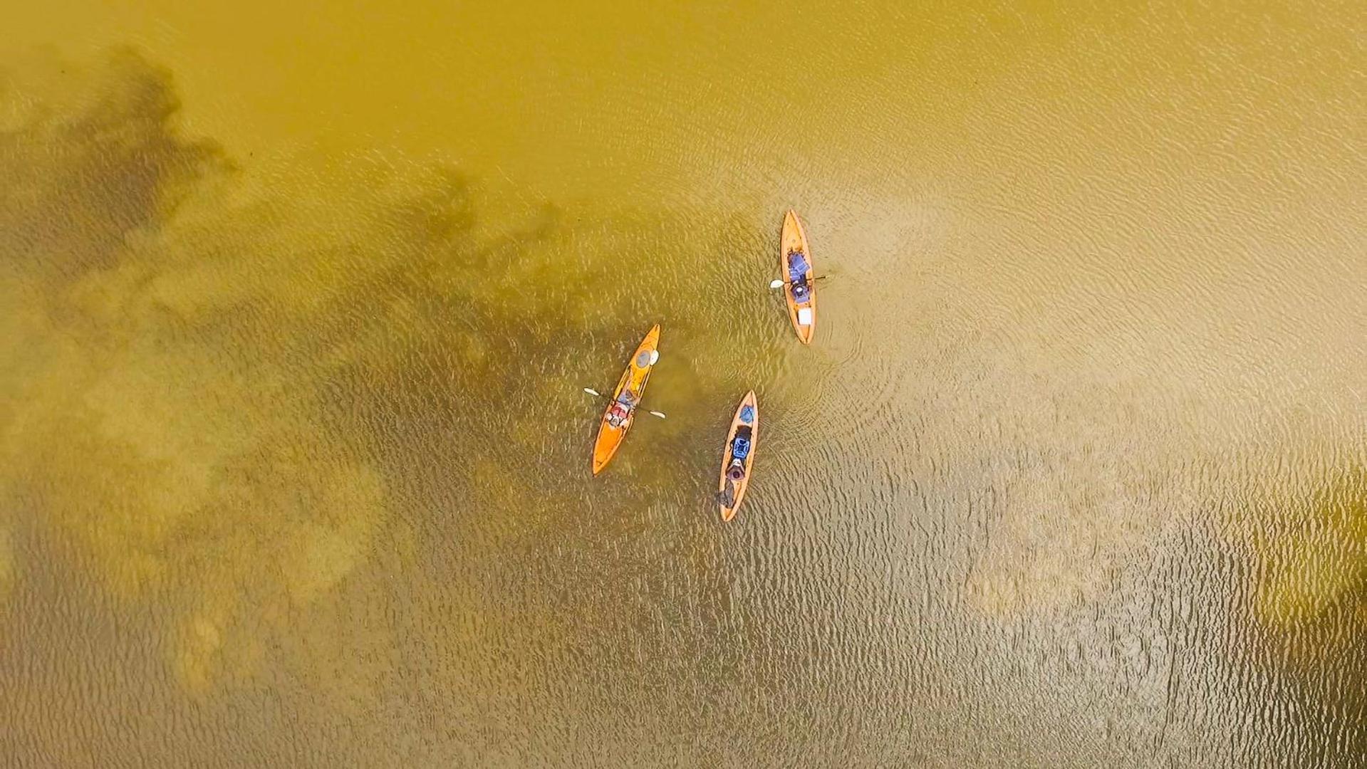 Tortuguero Adventures Beach House מראה חיצוני תמונה