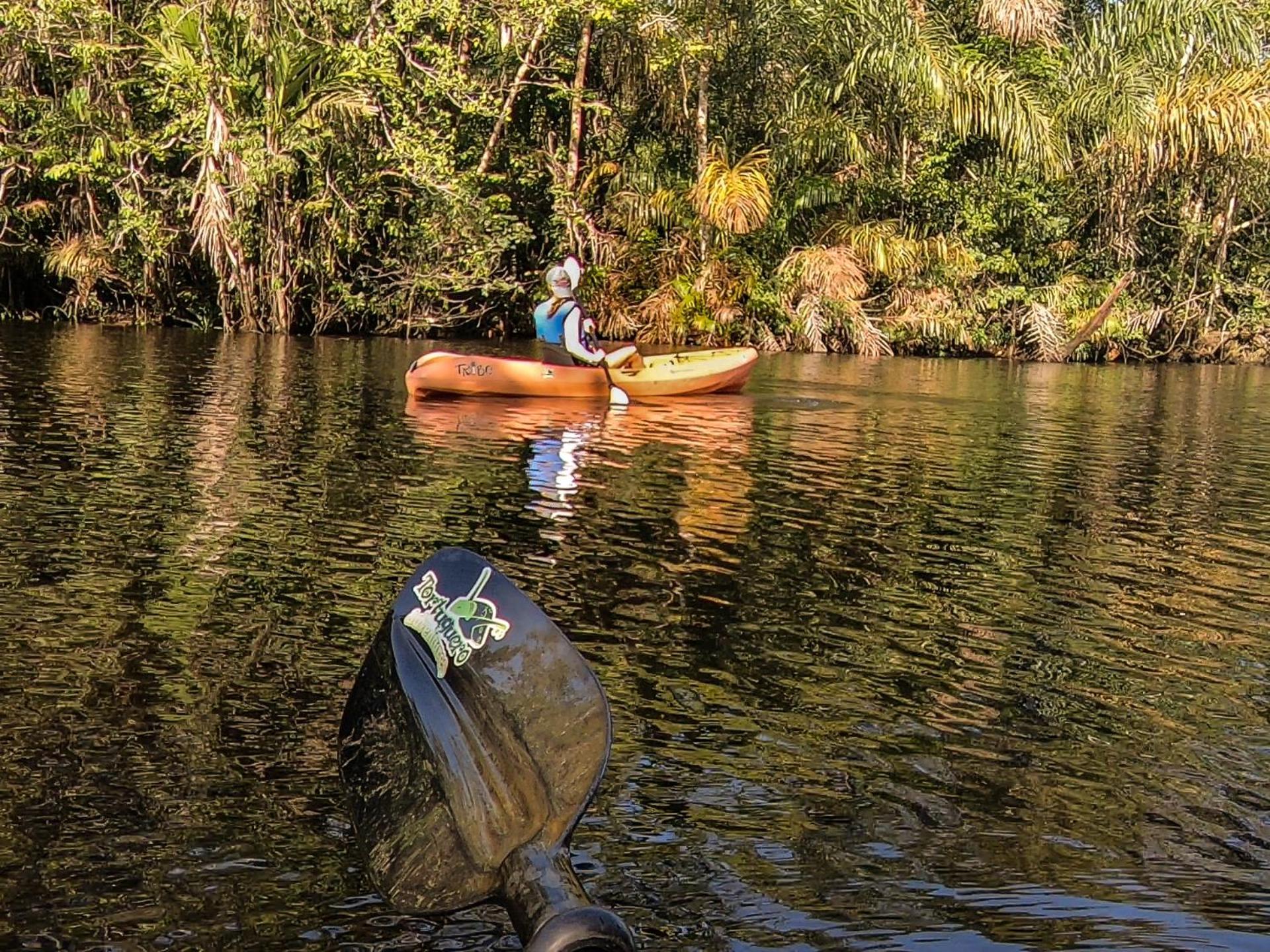 Tortuguero Adventures Beach House מראה חיצוני תמונה