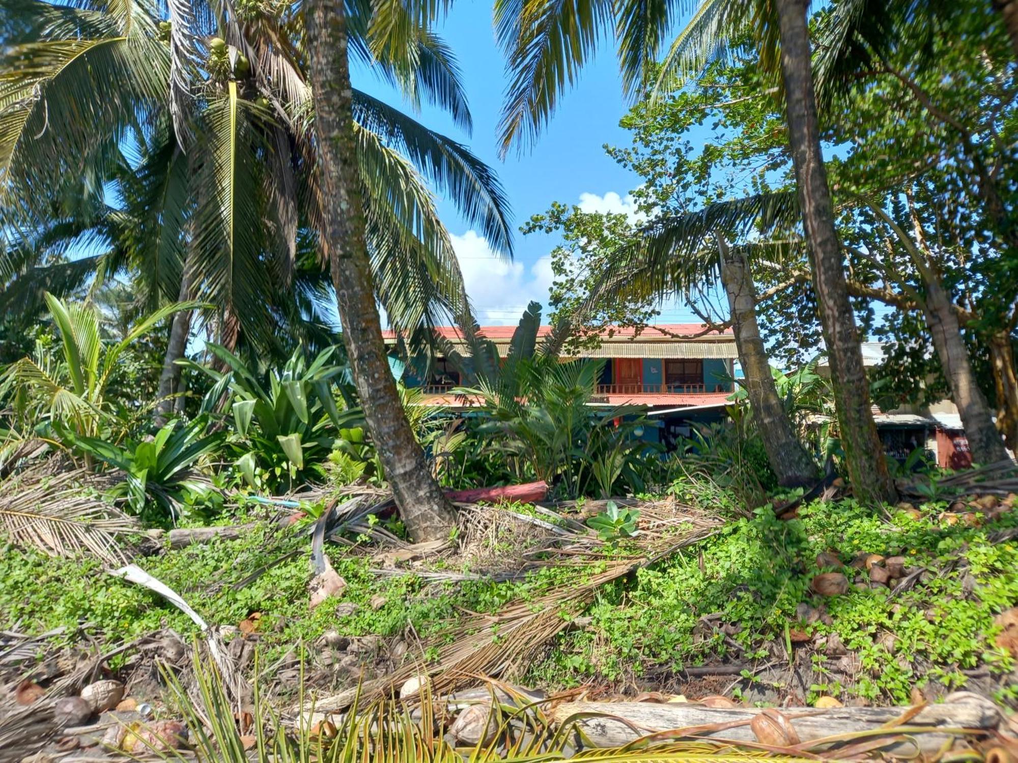 Tortuguero Adventures Beach House מראה חיצוני תמונה