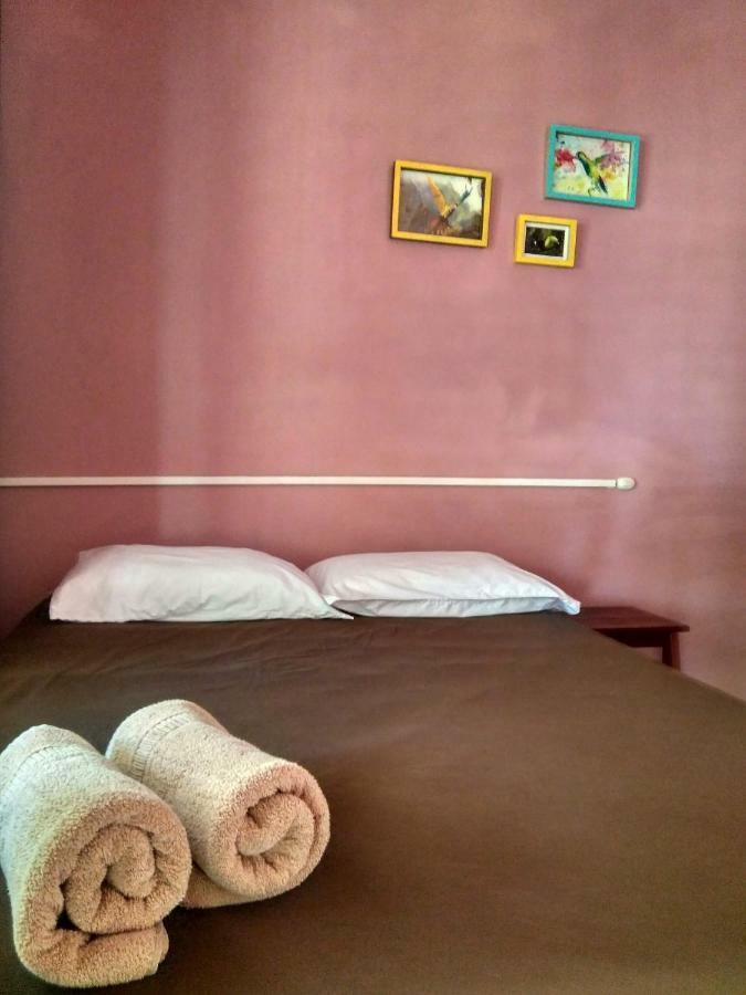 Tortuguero Adventures Beach House מראה חיצוני תמונה