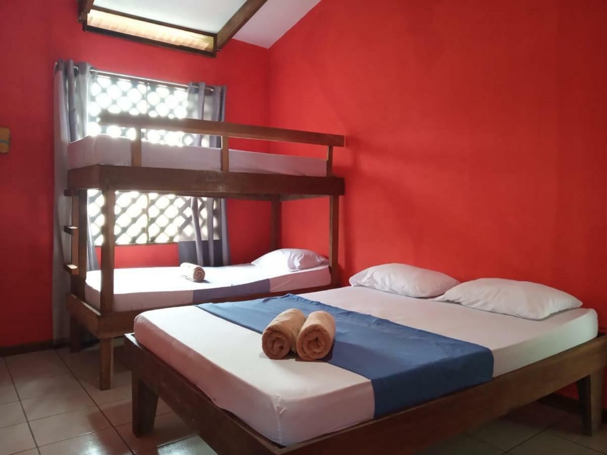 Tortuguero Adventures Beach House מראה חיצוני תמונה