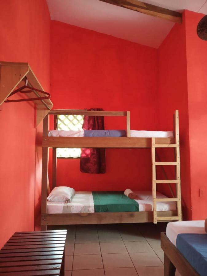 Tortuguero Adventures Beach House מראה חיצוני תמונה