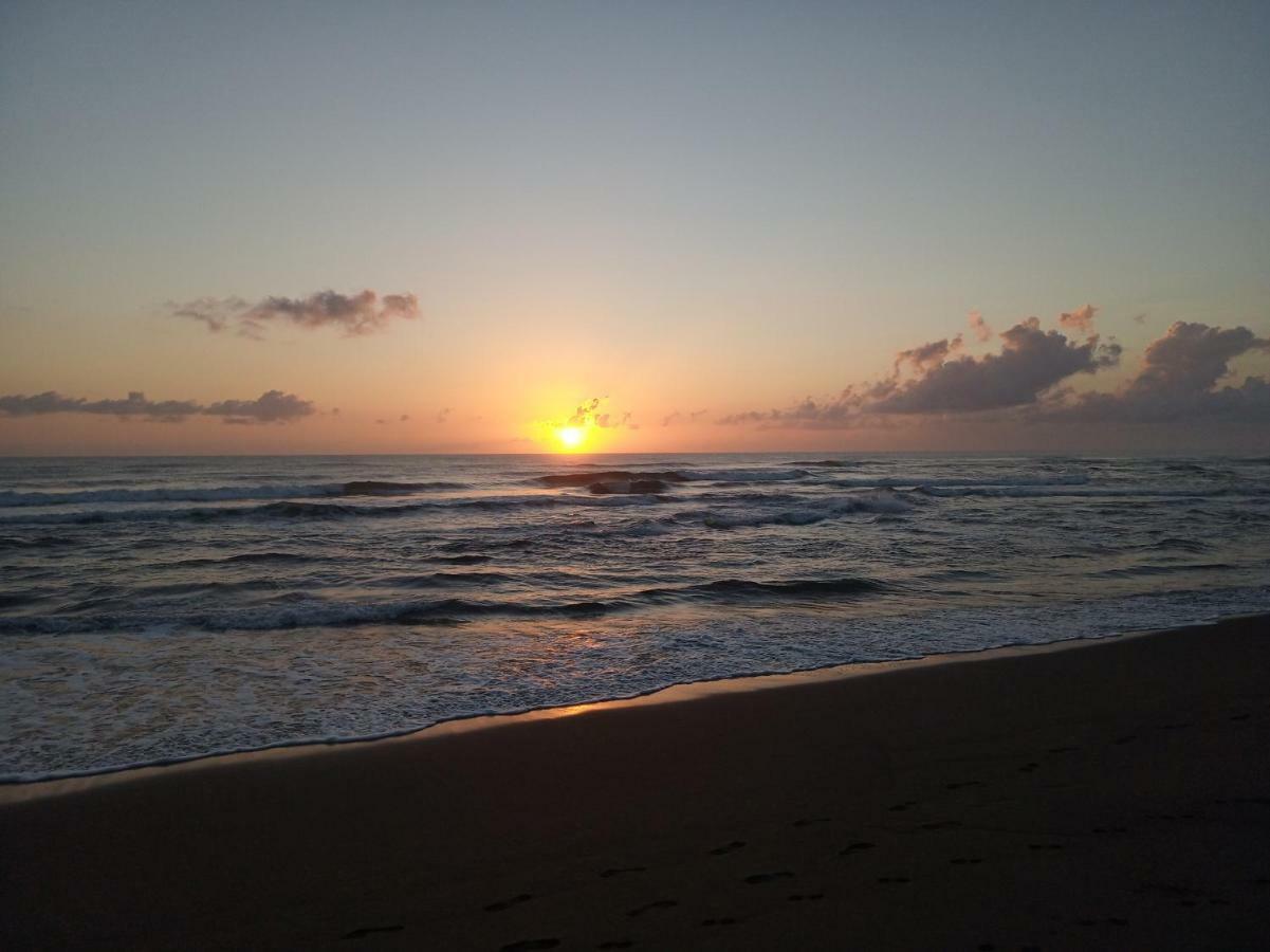 Tortuguero Adventures Beach House מראה חיצוני תמונה