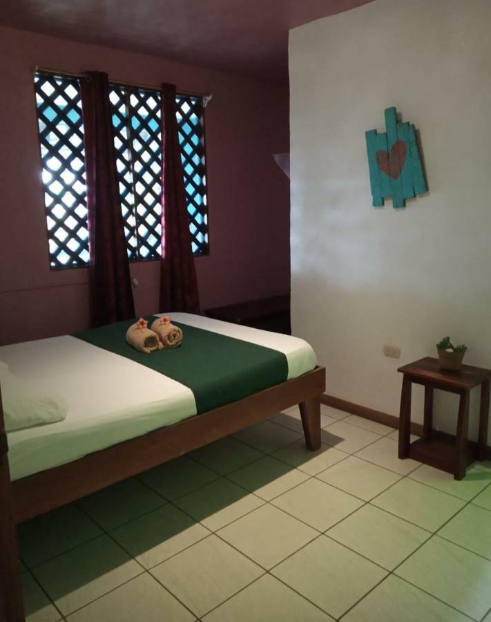 Tortuguero Adventures Beach House מראה חיצוני תמונה