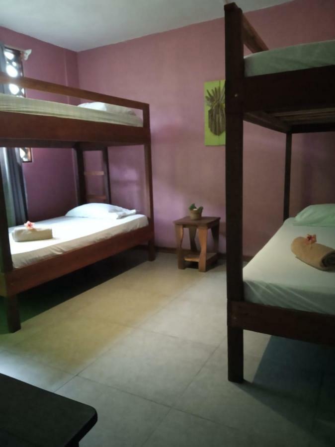 Tortuguero Adventures Beach House מראה חיצוני תמונה